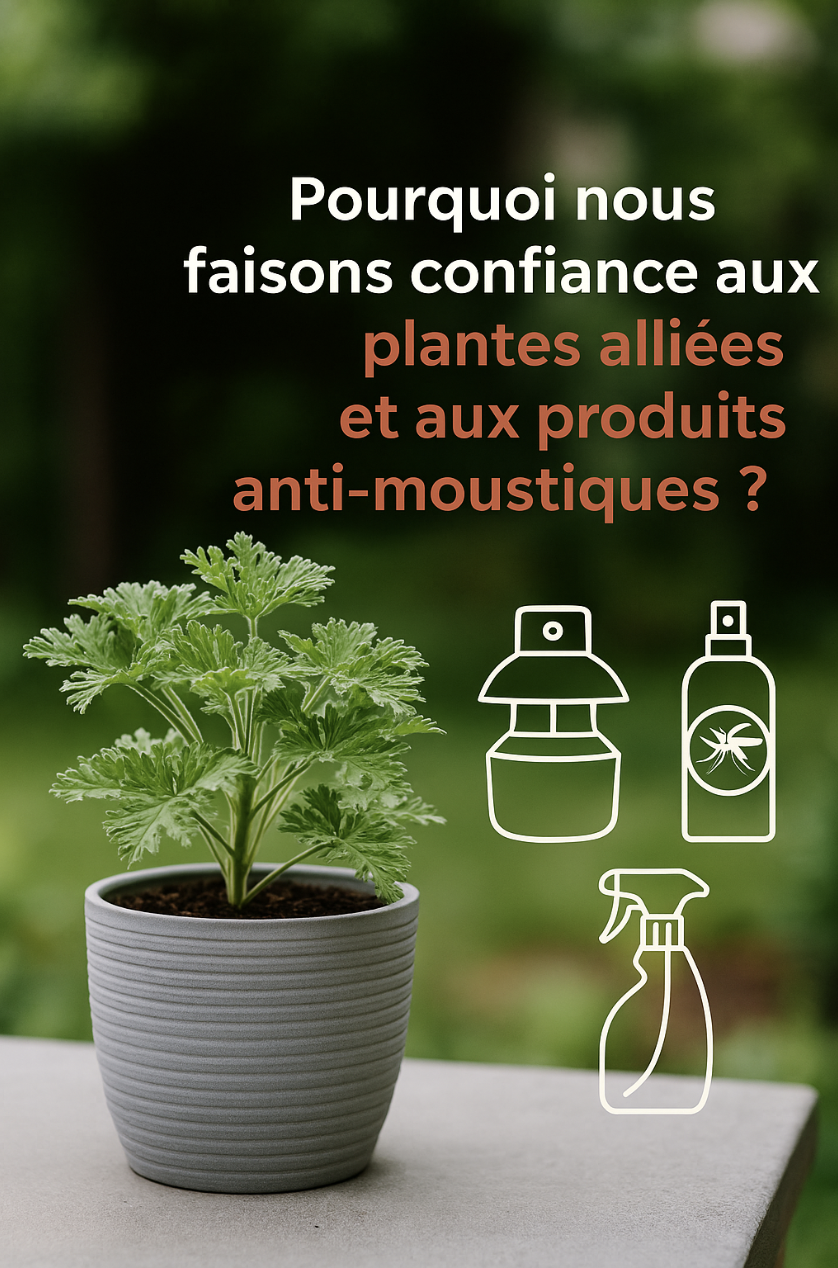 plante et anti moustiques efficaces